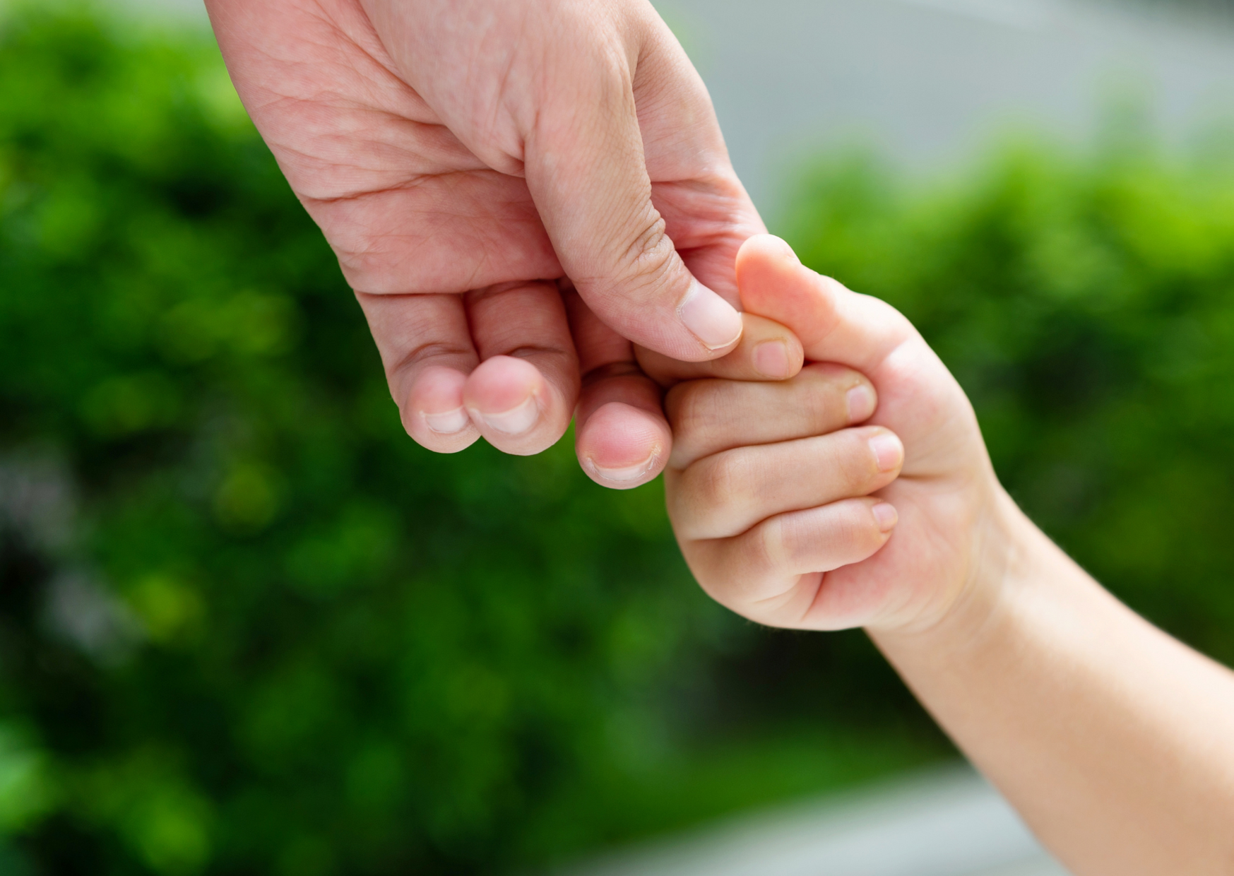 adult hand holding a toddler's hand