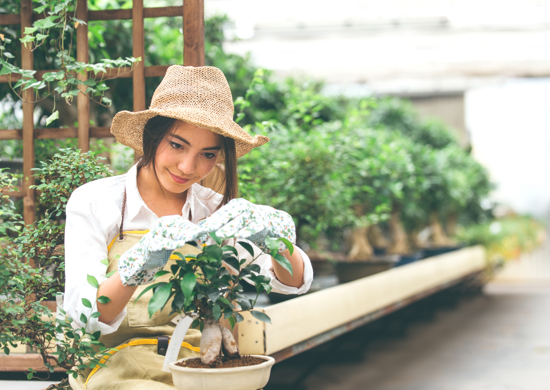 woman holding plant