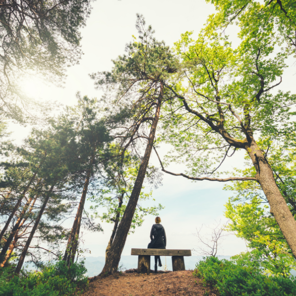 Person sitting on a bench, in the forest with the sun shining 