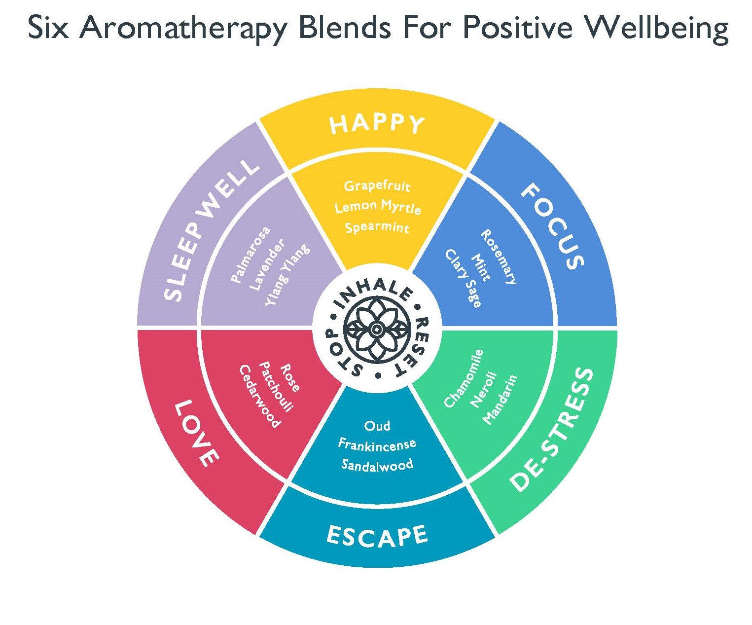 Scentered Ingredient Wellbeing blend wheel on a white background with different colours that connect to each scented balm